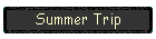 Summer Trip